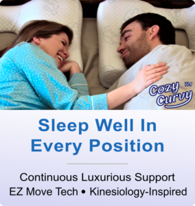 Cozy Curvy, The Restorative Pillow